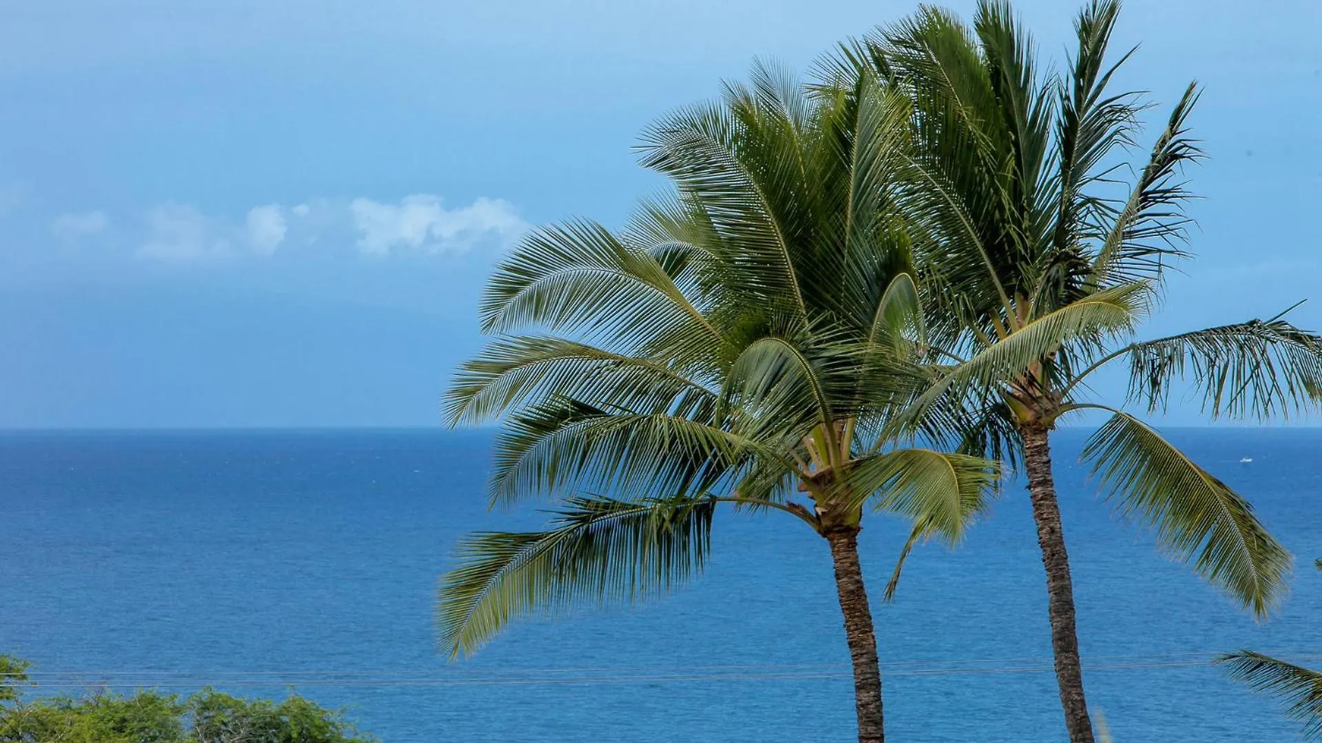 Maui Kamaole H201 - Mch Villa Kihei